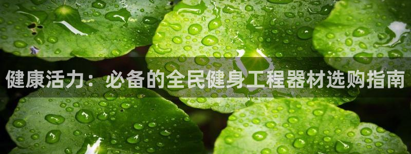 尊龙凯时凯发官网：健康活力：必备的全民健身工程器材选购指