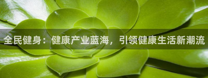 尊龙凯时vip：全民健身：健康产业蓝海，引领健康生活新潮