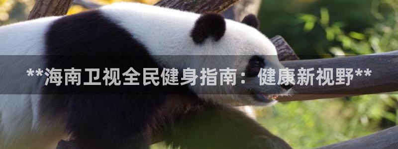 ag尊龙怎么样：**海南卫视全民健身指南：健康新视野**