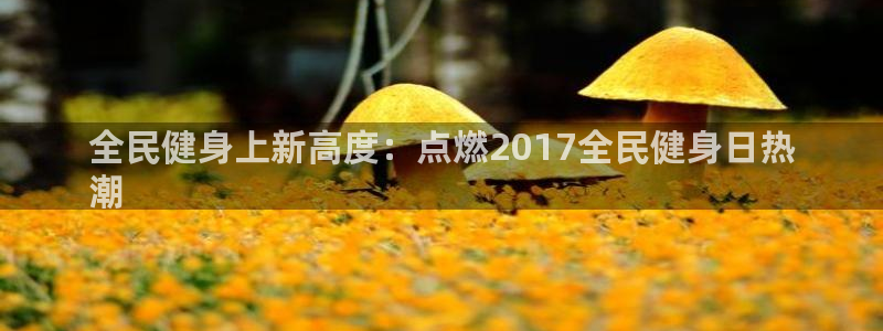 最新凯时官网网址：全民健身上新高度：点燃2017全民健身