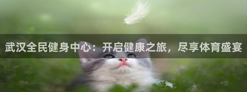 尊龙凯时：武汉全民健身中心：开启健康之旅，尽享体育盛宴