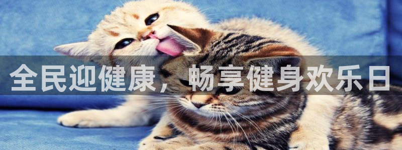 尊龙 6：全民迎健康，畅享健身欢乐日