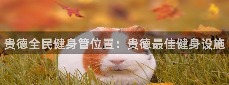 尊龙凯时vip：贵德全民健身管位置：贵德最佳健身设施