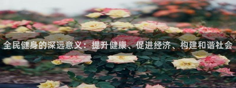 凯时平台app：全民健身的深远意义：提升健康、促进经济、