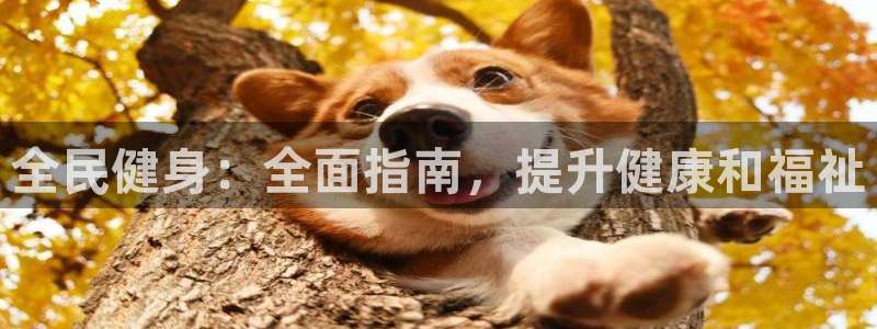 尊龙中国：全民健身：全面指南，提升健康和福祉