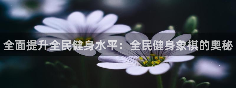 尊龙ktv怎么样：全面提升全民健身水平：全民健身象棋的奥
