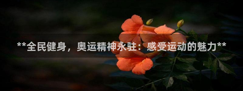 尊龙会：**全民健身，奥运精神永驻：感受运动的魅力**