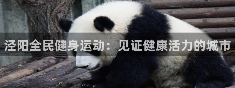 尊龙实业有限公司属于国企吗：泾阳全民健身运动：见证健康活