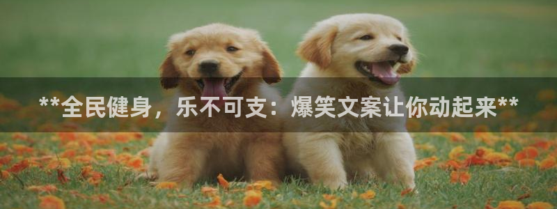 尊龙人生就是博首页：**全民健身，乐不可支：爆笑文案让你