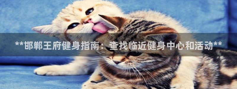 尊龙客服：**邯郸王府健身指南：查找临近健身中心和活动*