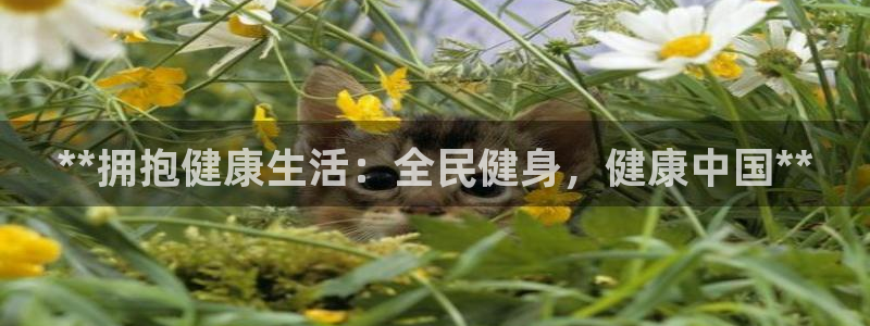 尊龙凯时开发：**拥抱健康生活：全民健身，健康中国**