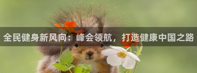 尊龙凯时人生就是搏 品牌专区：全民健身新风向：峰会领航，