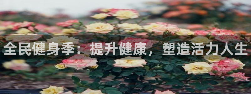 尊龙凯时平台还是万搏好：全民健身季：提升健康，塑造活力人