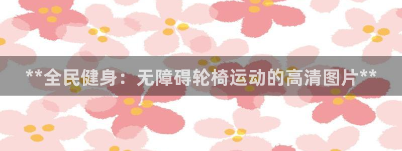 凯时官网：**全民健身：无障碍轮椅运动的高清图片**