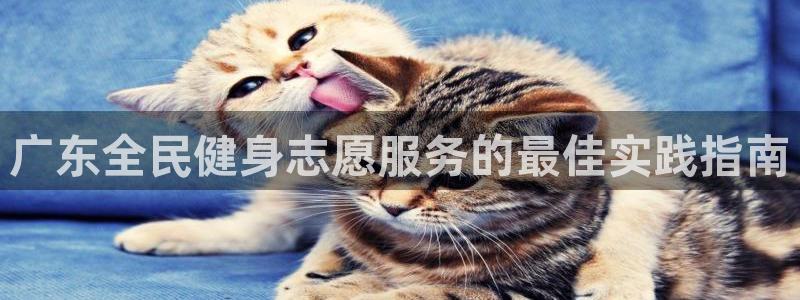 尊龙ag旗舰厅下载：广东全民健身志愿服务的最佳实践指南