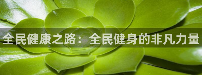 尊龙电子：全民健康之路：全民健身的非凡力量