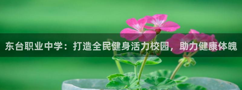 尊龙凯时人生就是博·(中国)官网官：东台职业中学：打造全