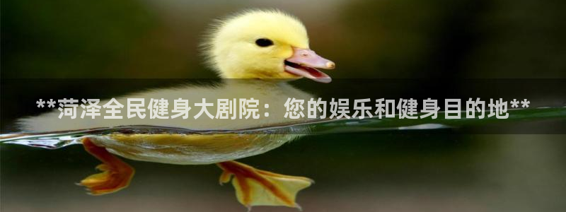 尊龙凯时处理未到账：**菏泽全民健身大剧院：您的娱乐和健