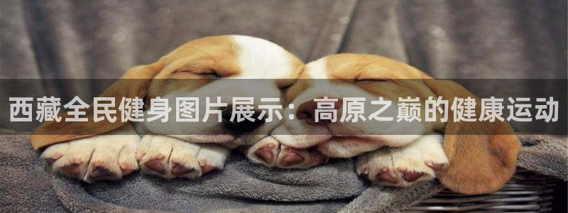 尊龙凯时手机版·(中国)官方网站：西藏全民健身图片展示：