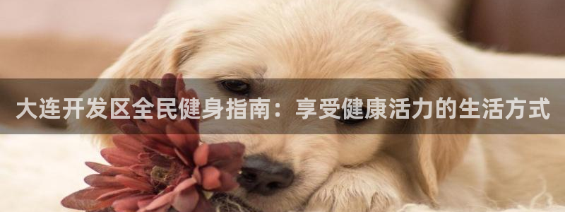尊龙凯时老板：大连开发区全民健身指南：享受健康活力的生活