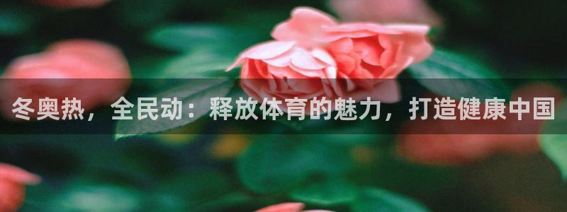 尊龙凯时app官方网站：冬奥热，全民动：释放体育的魅力，
