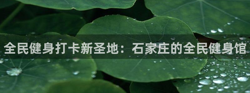 尊龙电子：全民健身打卡新圣地：石家庄的全民健身馆