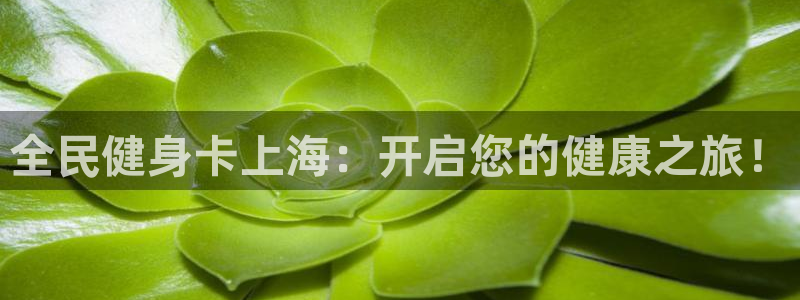 尊龙新版手机app下载：全民健身卡上海：开启您的健康之旅