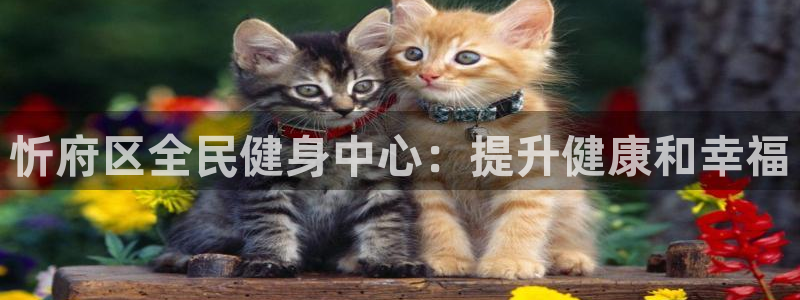 尊龙凯时ag旗舰厅官：忻府区全民健身中心：提升健康和幸福