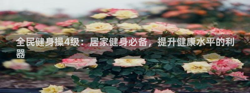 尊龙一人生就是博电子游戏：全民健身操4级：居家健身必备，