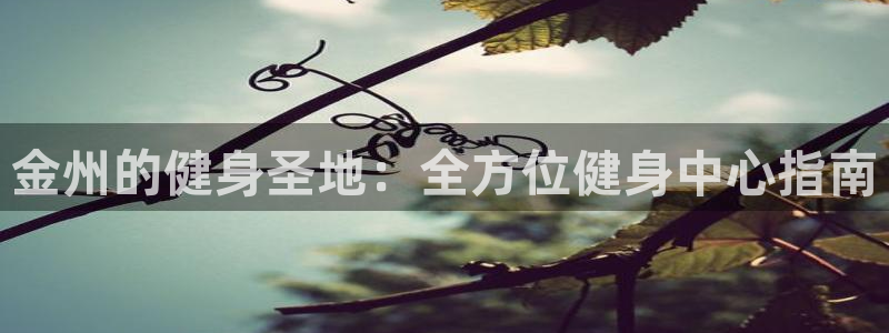 凯时官网下载客户端：金州的健身圣地：全方位健身中心指南