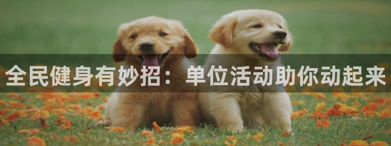 尊龙凯时始人生就是博：全民健身有妙招：单位活动助你动起来