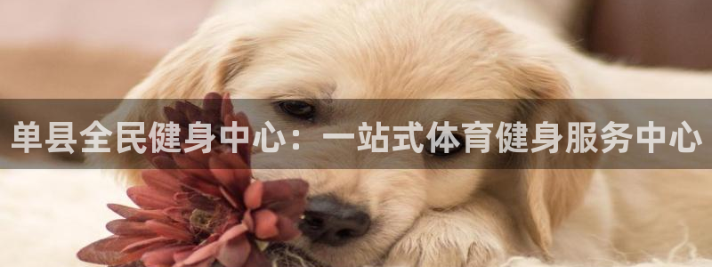 尊龙人生就是博官方官网