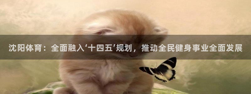 尊龙ag旗舰厅手机版