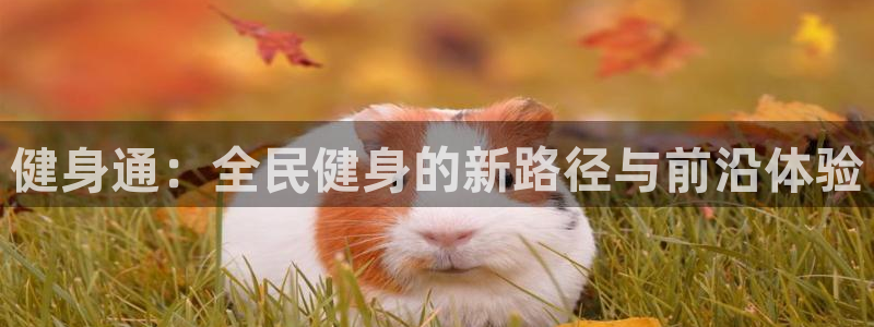 尊龙凯时平台还是万博好