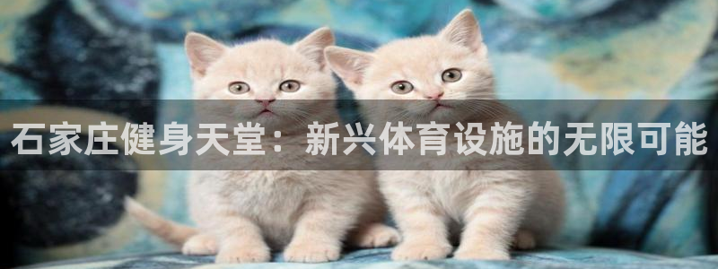 尊龙体育正规么