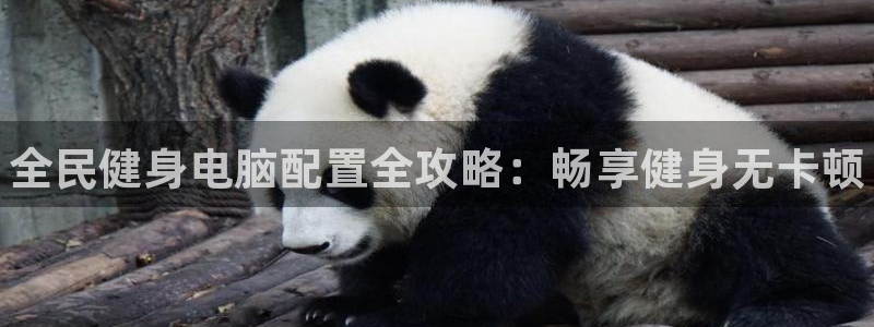 尊龙凯时有封银行卡的吗：全民健身电脑配置全攻略：畅享健身