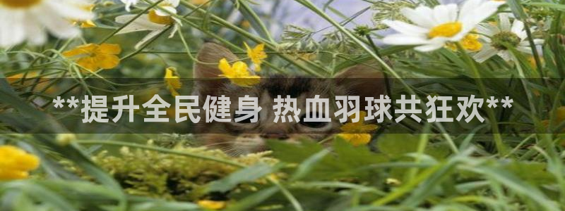 尊龙2020：**提升全民健身 热血羽球共狂欢**