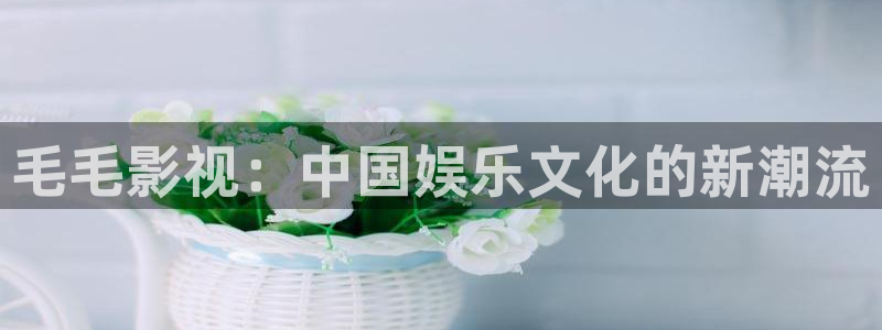 海狮视频app：毛毛影视：中国娱乐文化的新潮流