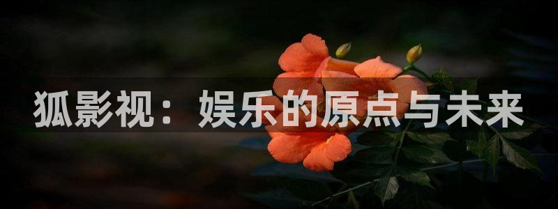 海狮视频app：狐影视：娱乐的原点与未来