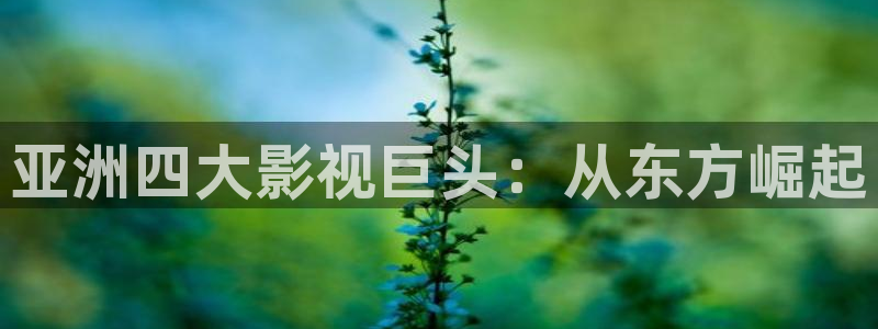 海狮视频免费观看所有电视剧大全：亚洲四大影视巨头：从东方崛起