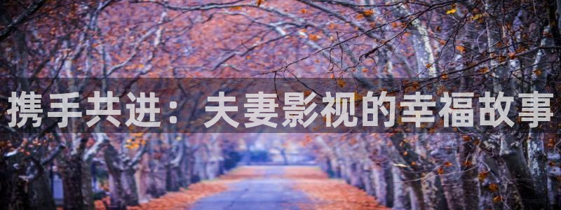 海狮视频下载：携手共进：夫妻影视的幸福故事