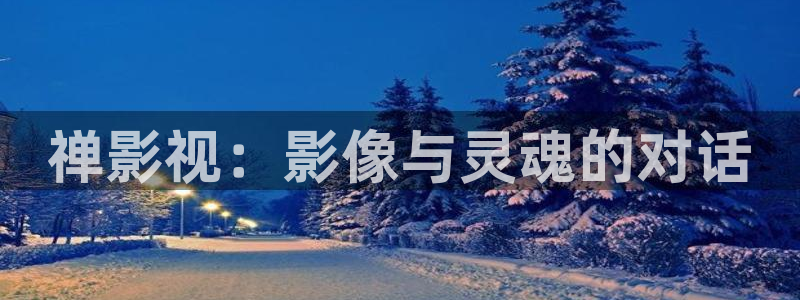 海狮视频免费观看所有电视剧大全：禅影视：影像与灵魂的对话