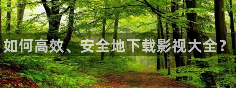 海狮视频免费观看所有电视剧大全：如何高效、安全地下载影视大全？