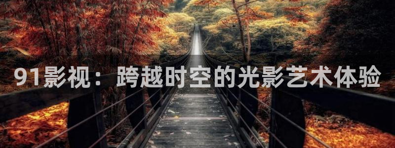 海狮视频电视剧免费观看全集：91影视：跨越时空的光影艺术体验