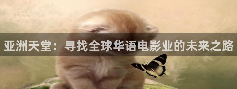 海狮视频app：亚洲天堂：寻找全球华语电影业的未来之路