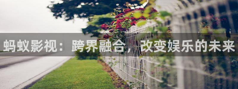 海狮视频免费观看所有电视剧大全：蚂蚁影视：跨界融合，改变娱乐的未来