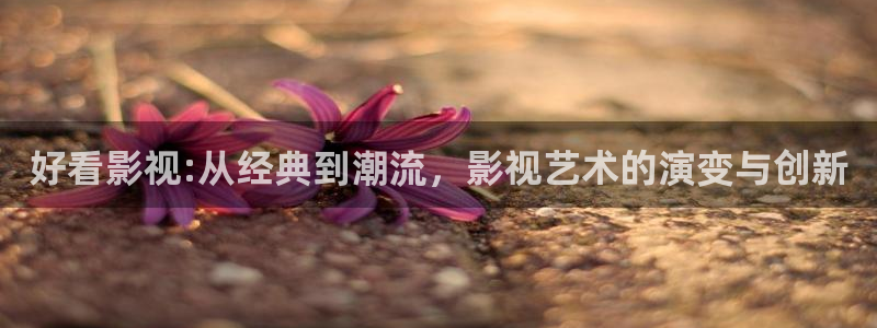 海狮视频app：好看影视:从经典到潮流，影视艺术的演变与创新