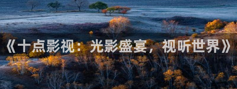 海狮视频电视剧免费观看全集：《十点影视：光影盛宴，视听世界》