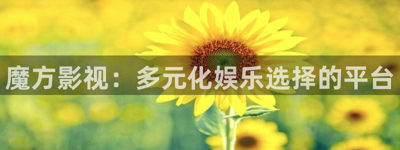 海狮视频免费观看所有电视剧大全：魔方影视：多元化娱乐选择的平台