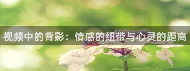 海狮视频app：视频中的背影：情感的纽带与心灵的距离
